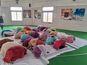 apna ghar bharatpur news